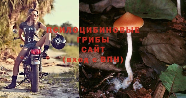 прущие грибы Белоозёрский