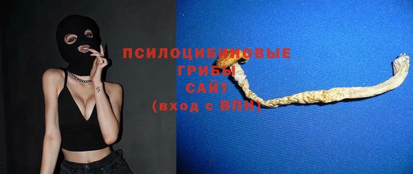 прущие грибы Белоозёрский